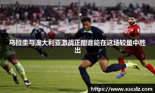 zoty中欧